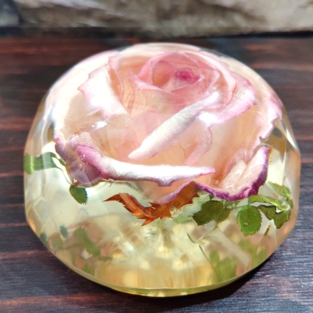 Vintage Rolfe Signed Rose Paperweight Real Flower Preserved Lucite Acrylic Facet - Picture 10 of 15